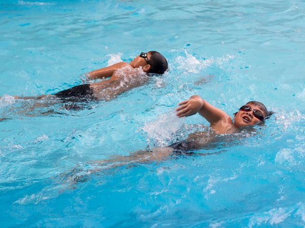 Jak wyglądają profesjonalne lekcje pływania: Przewodnik za kulisami